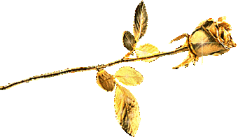 fleur d'or